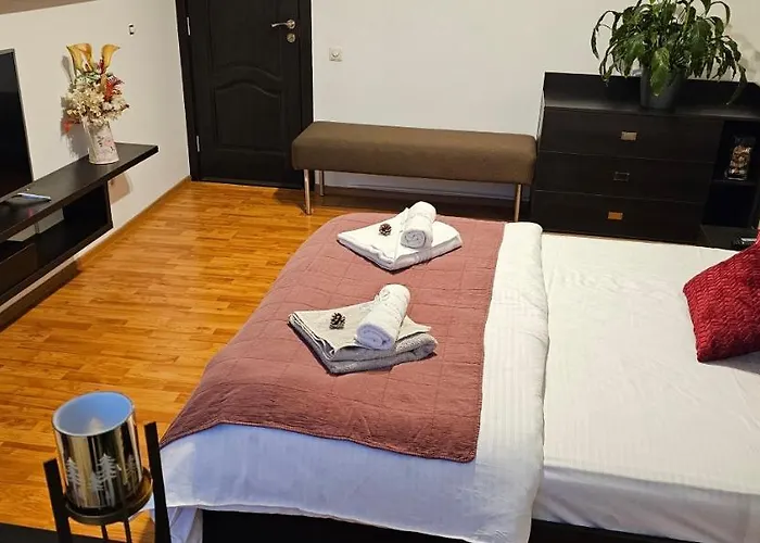 Apartment Magnolia Racadau Brasov