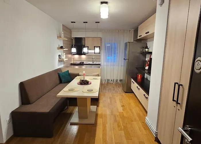 Magnolia Racadau Brasov